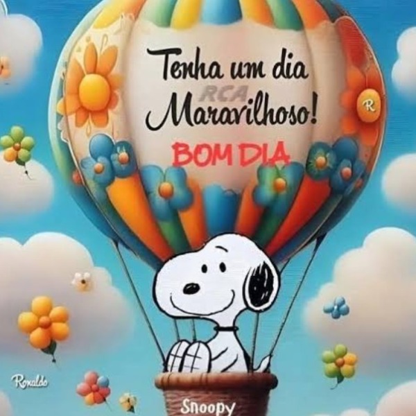Foto de perfil de Bernardo João Rodrigues antunes Joao